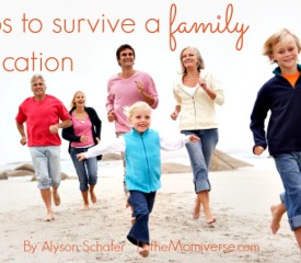 How to survive a family holiday vacation