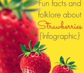 10 Fun facts and folklore about strawberries {Infographic}