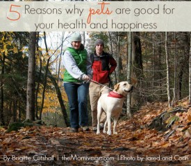 5 Reasons why pets are good for your health and happiness