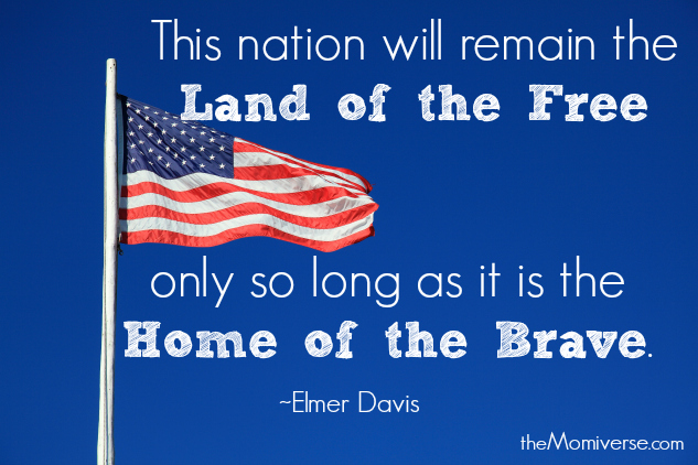Veterans Day - Proud to be an American | The Momiverse