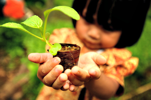 Dig in! Gardening with kids | The Momiverse | Article by Cheryl Tallman | Photo by CIFOR