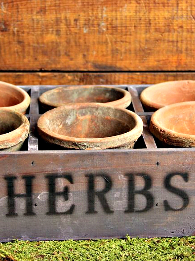 Herb Clay Pots Planter