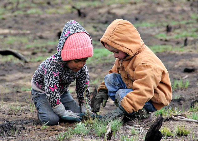 Dig in! Gardening with kids | The Momiverse | Article by Cheryl Tallman | Photo by BLM Nevada