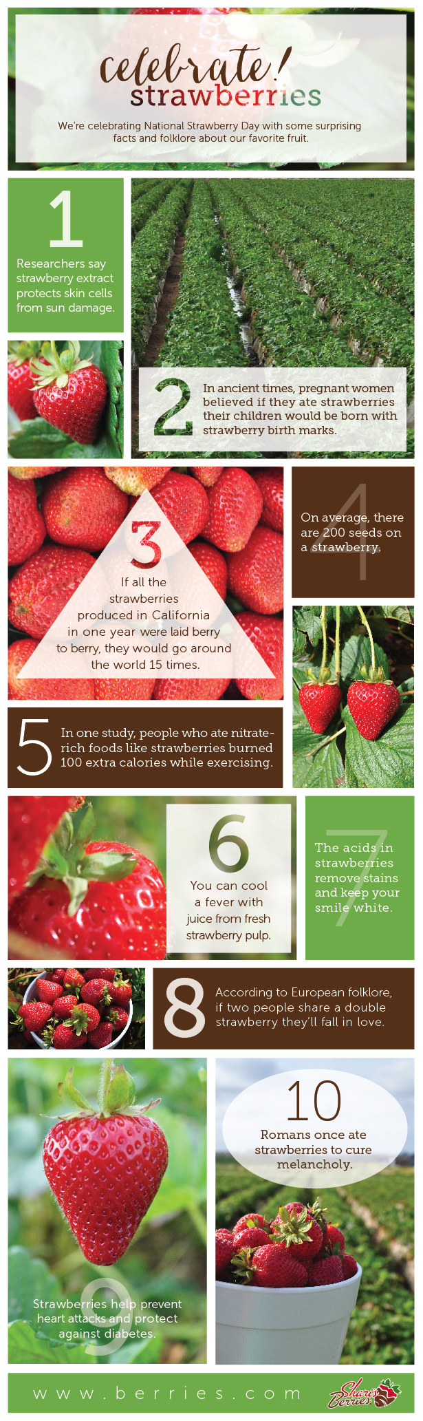 Facts and folklore about strawberries | National Strawberry Day | Infographic | The Momiverse