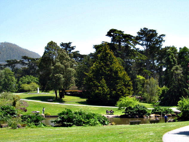 Strybing Arboretum - Golden Gate Park, San Francisco, CA | Photo by Doug Kerr via Flickr | The Momiverse