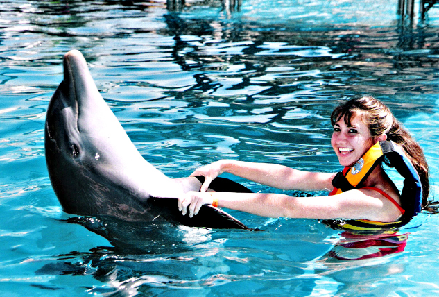Swim with the dolphins | The Momiverse | Photo by Patti Morrow