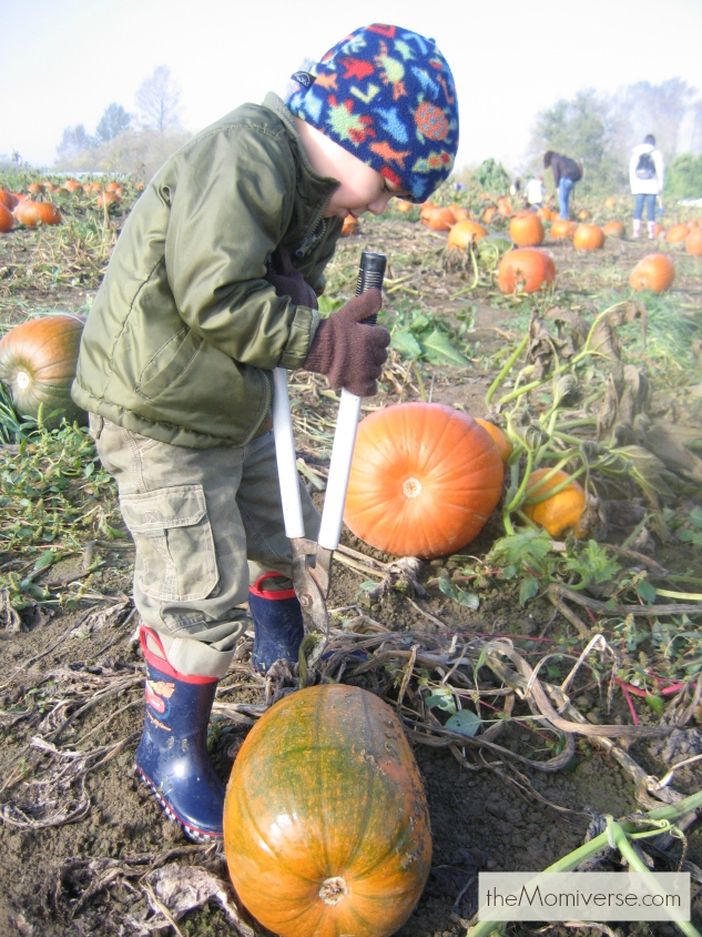 Dress accordingly for the pumpkin patch | The Momiverse