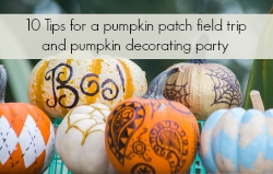 10 Tips for a pumpkin patch field trip and pumpkin decorating party | The Momiverse
