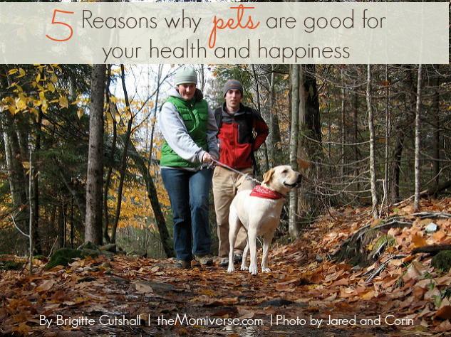 5 Reasons why pets are good for your health and happiness | The Momiverse | Photo by Jared and Corin